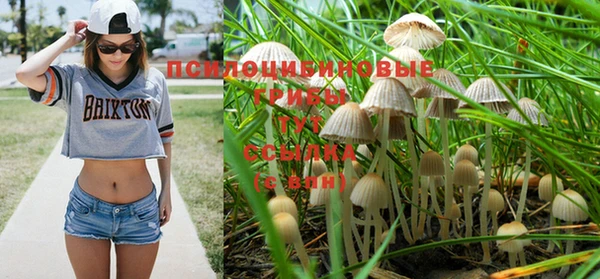 бошки Балахна