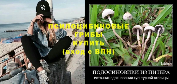 стафф Баксан
