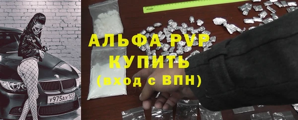 ПСИЛОЦИБИНОВЫЕ ГРИБЫ Балабаново