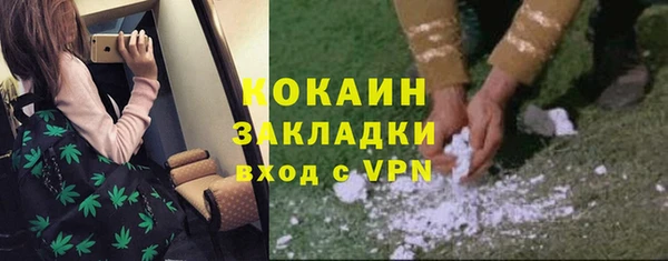 ПСИЛОЦИБИНОВЫЕ ГРИБЫ Балабаново