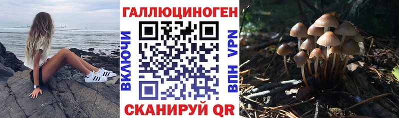 Купить Менделеевск Галлюциногенные грибы GOLDEN TEACHER